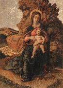Andrea Mantegna Madonna and Child oil painting artist